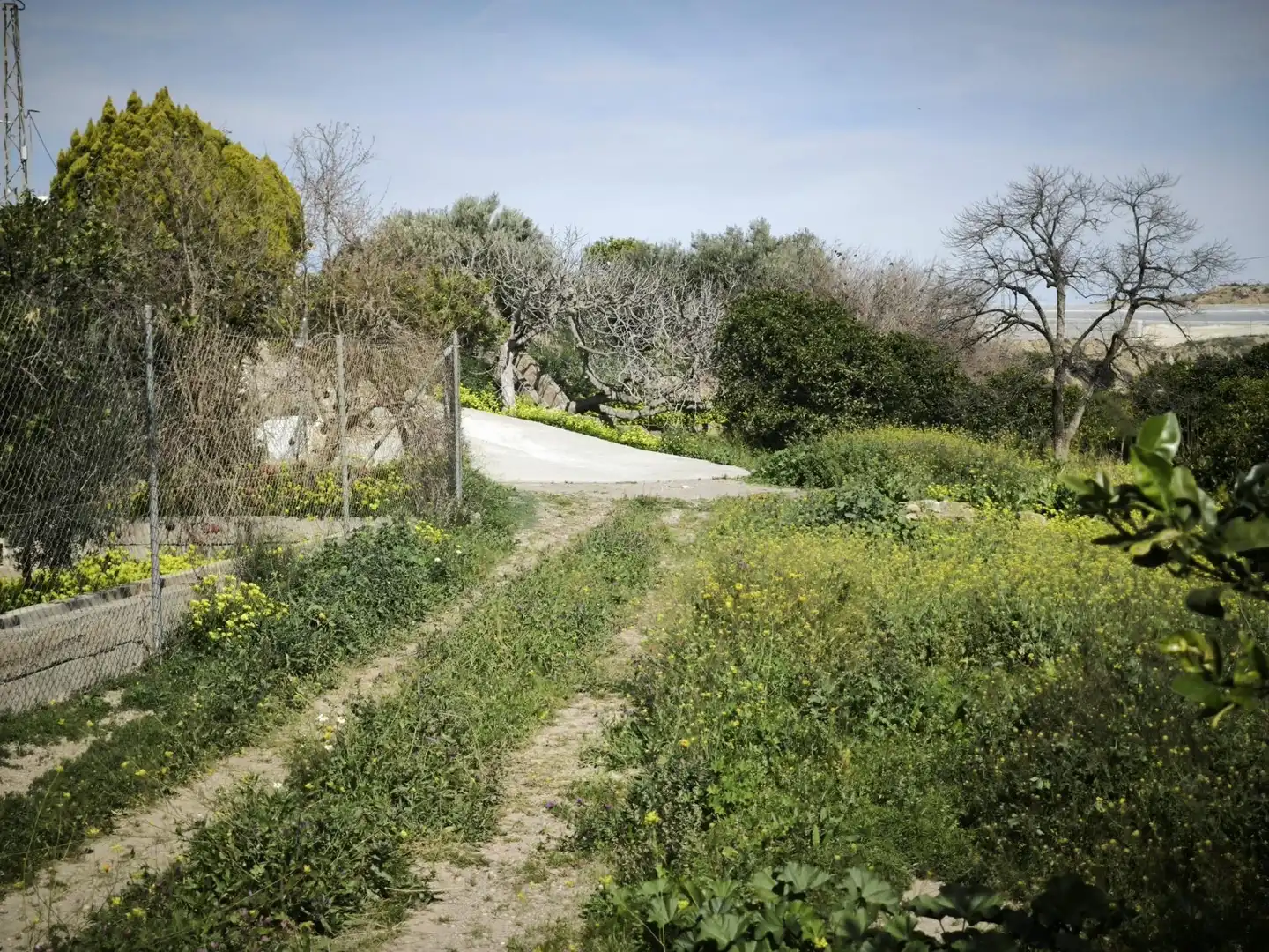 Lands and plots for sale in Gádor, imagen 16