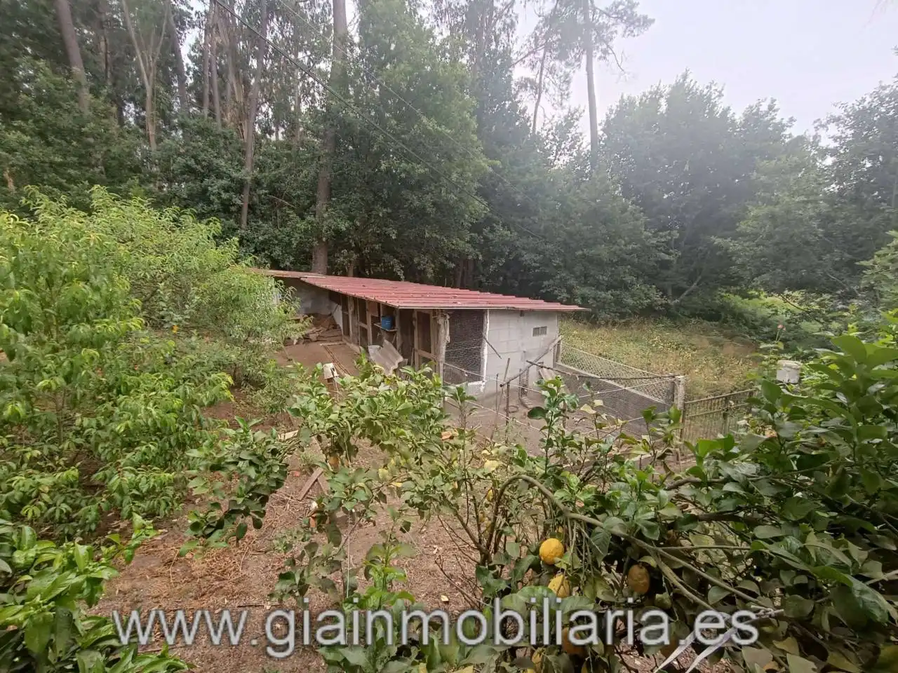 Casa con jardín en venta en Calle Fornelos, imagen 15