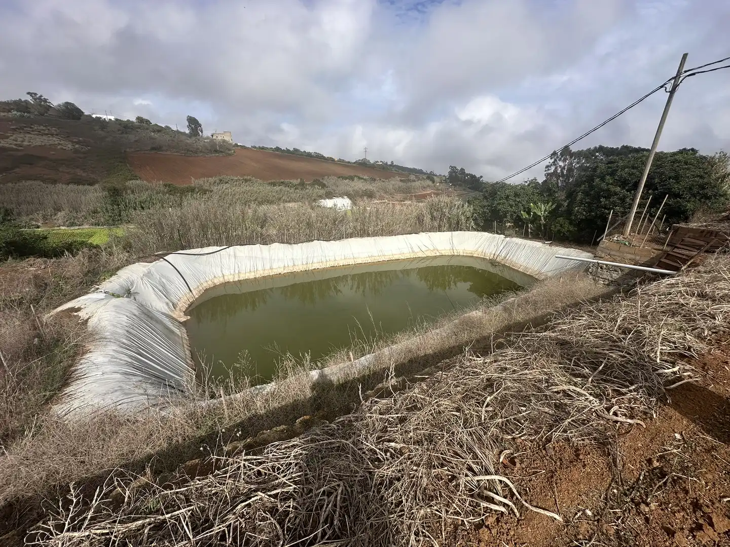 Finca rústica en venta en Santa María de Guía de Gran Canaria