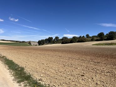 Terreno rustico in vendita a Avenida de Andalucía