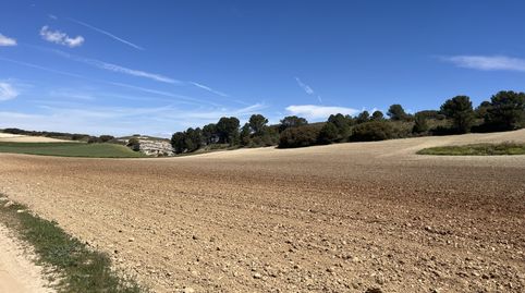Finca en Padul