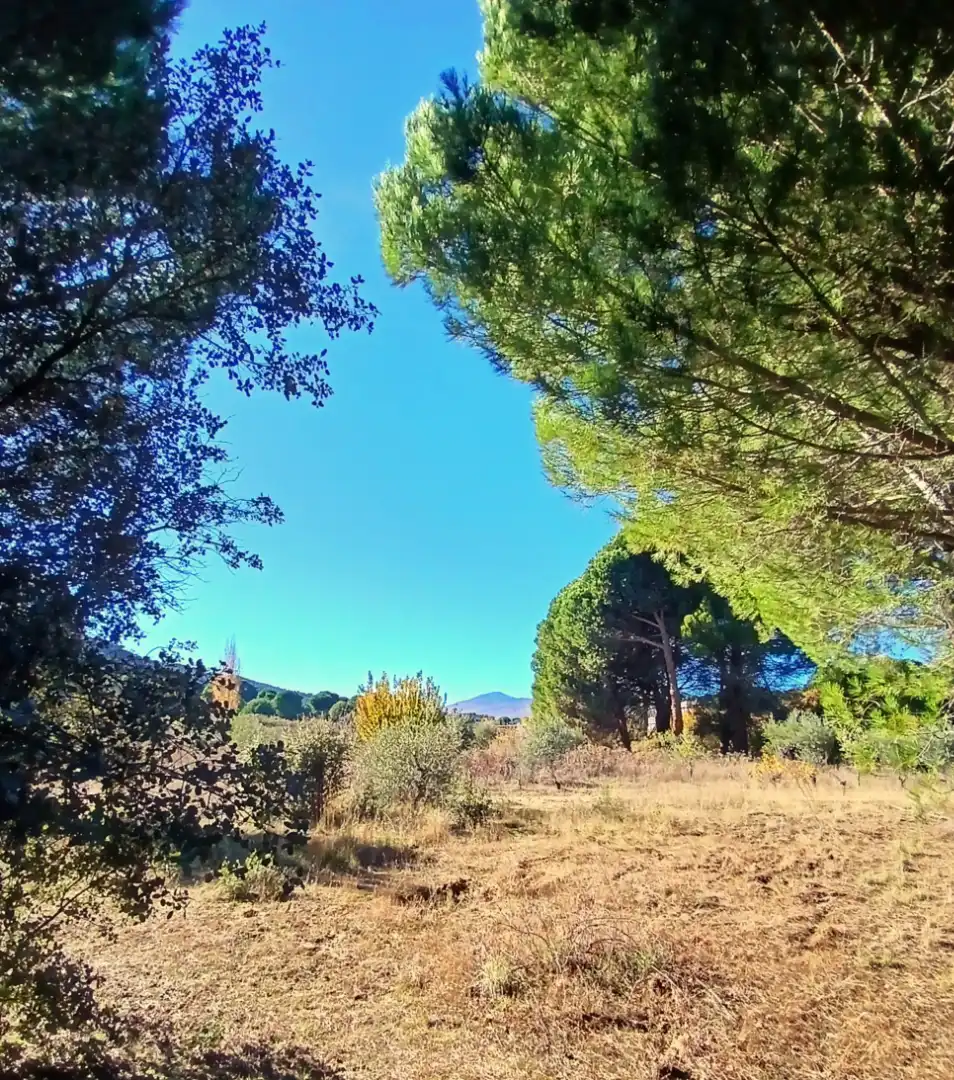 Rural land for sale in M-501, imagen 5