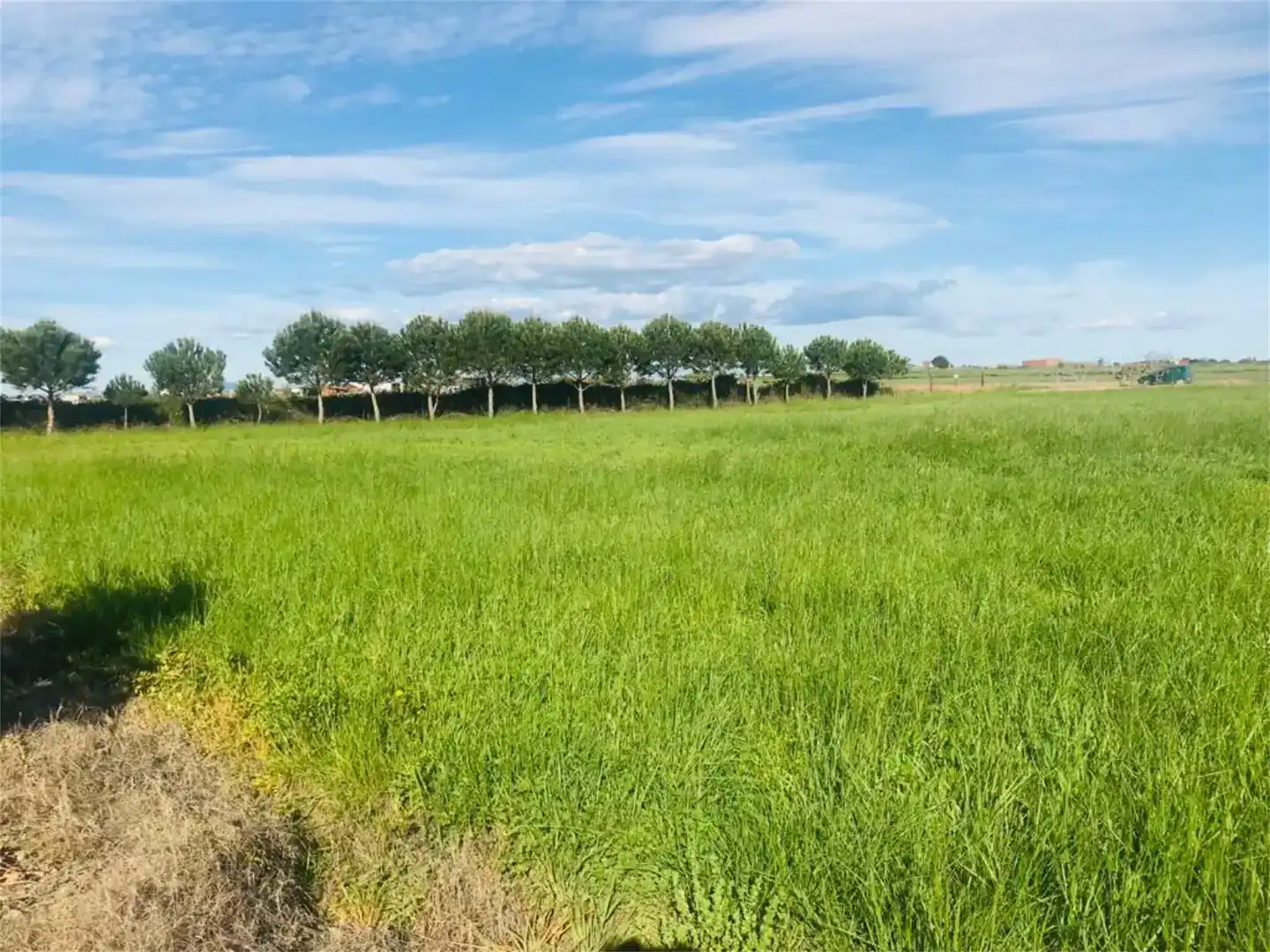 Land for sale in Moraleja