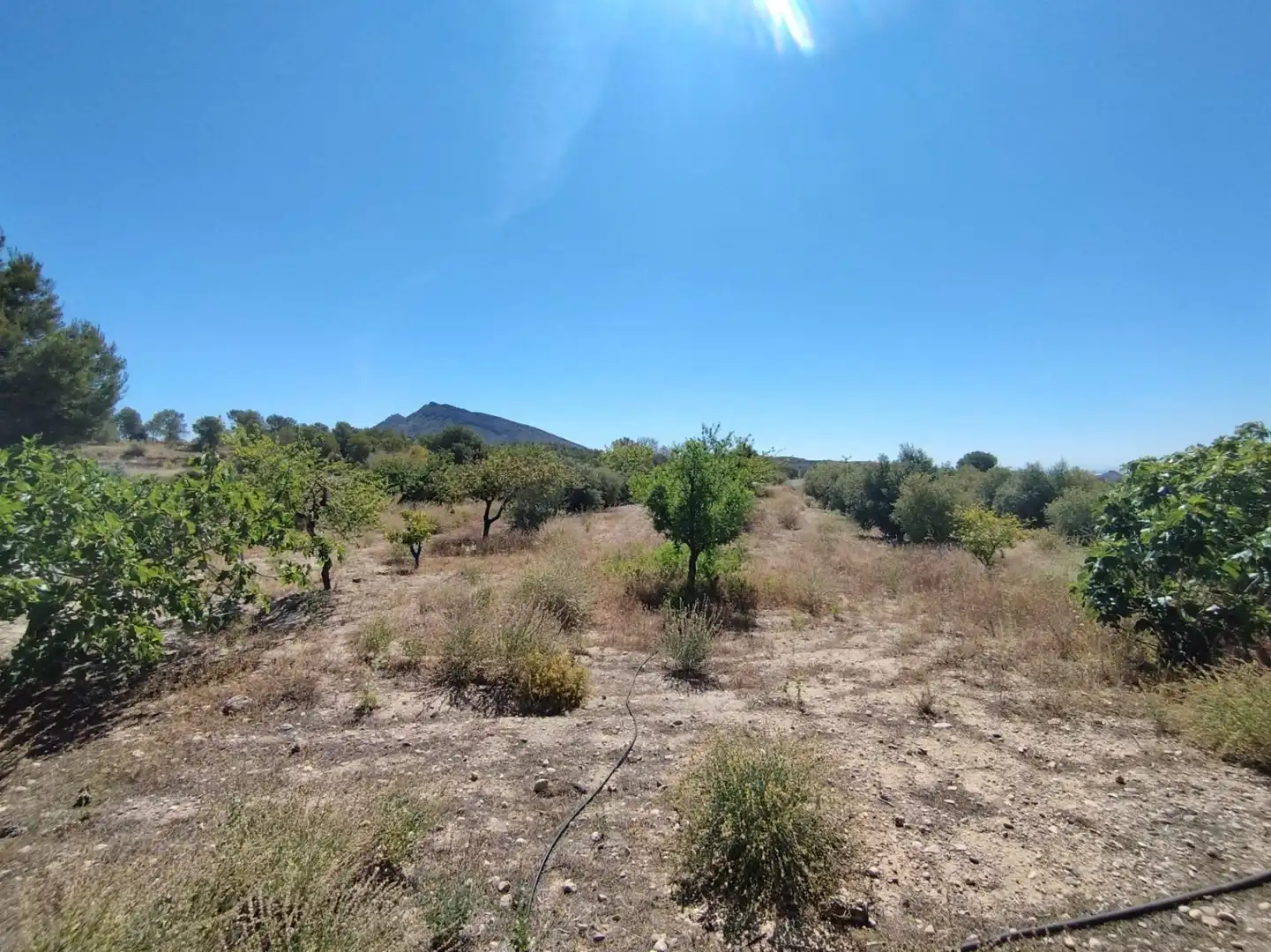 Casa o chalet en venta en Murcia con Trastero y Amueblado