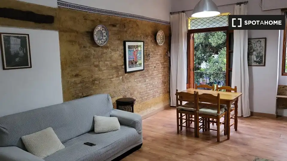 Appartamento con terrazza in affitto a Ciutat Vella