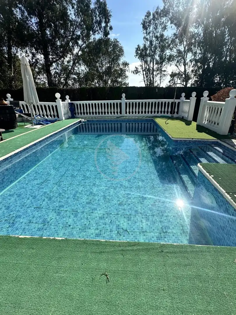 Piscina de Finca rústica en venda en Linares amb Jardí privat, Terrassa i Piscina