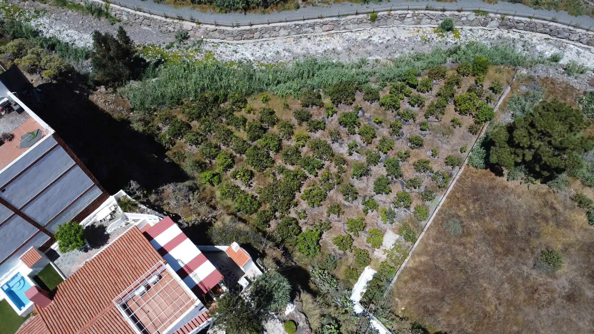 House with terrace for sale in Los Pasitos 2, imagen 5