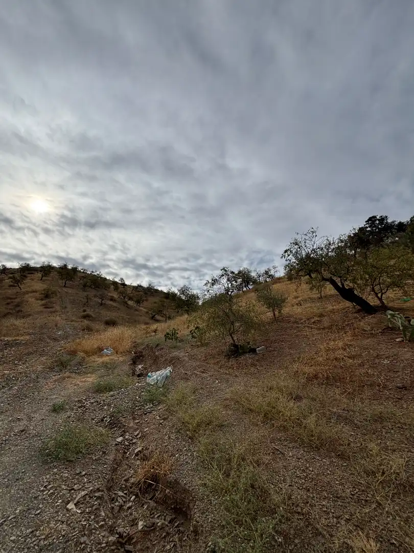 Terreno en venta en Almogía