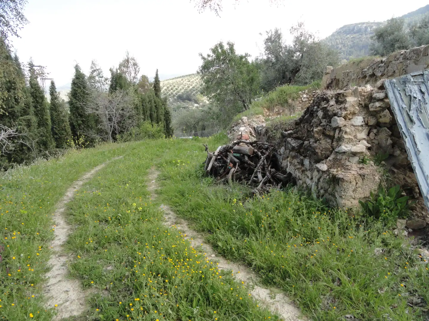 Garden of Land for sale in La Iruela