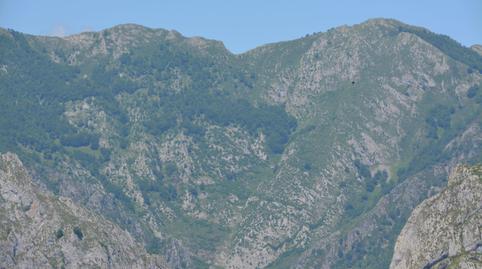 Photo 2 of House or chalet for sale in Oseja de Sajambre, León