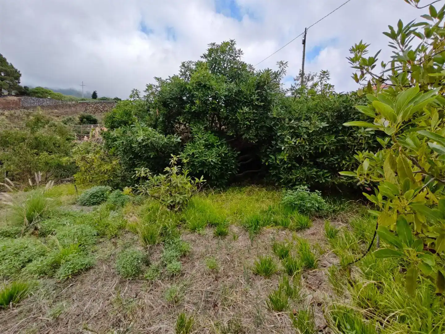 Casa o chalet en venta en Breña Alta con Jardín privado, Trastero y Amueblado