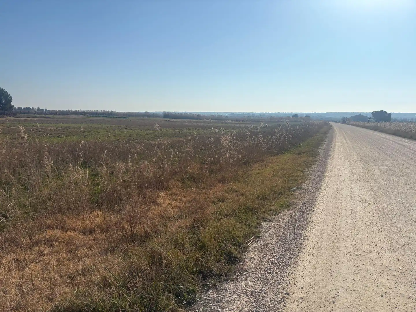 Terrain rustique à vendre à La Foia - Daimés - Asprella, imagen 17