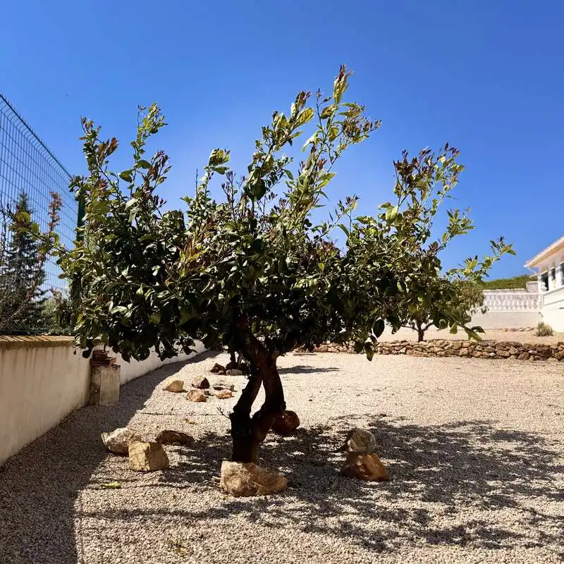 Jardín de Piso en venta en Periana con Trastero