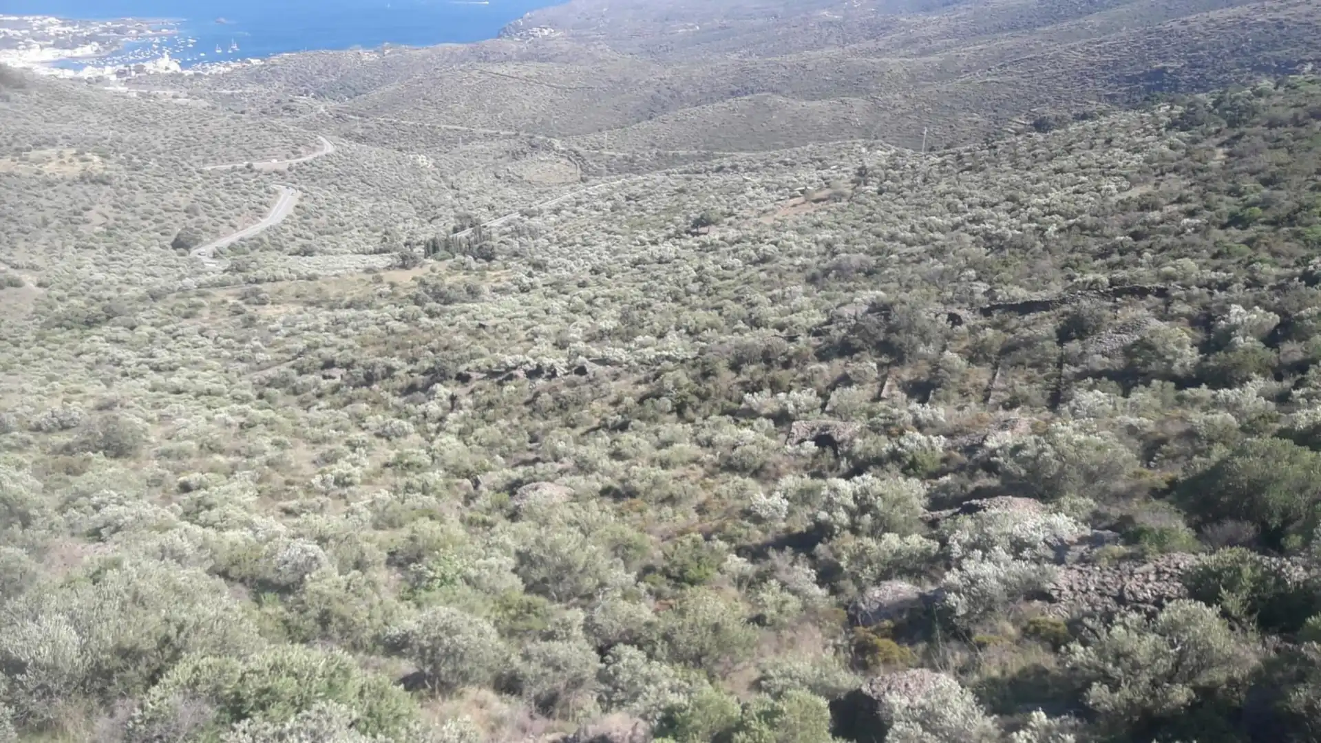 Lands and plots for sale in Ses Closes, imagen 5