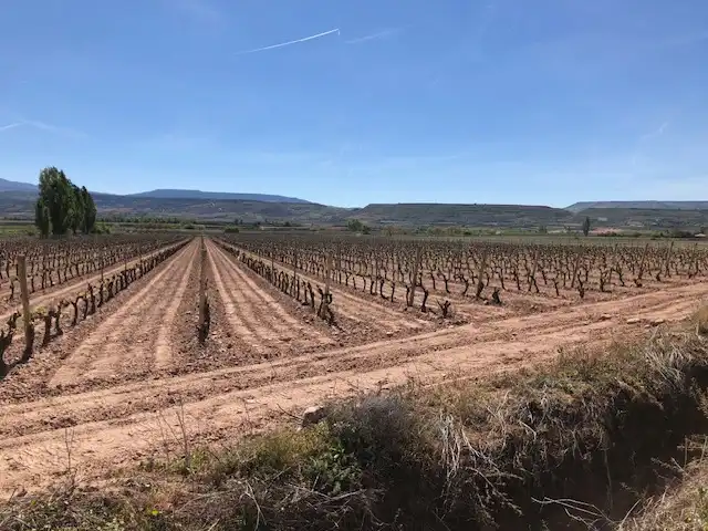 Rustikales Grundstück zum Verkauf in Navarrete, imagen 7