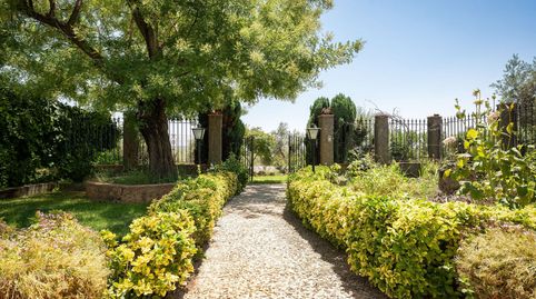 La Aragonesa  Una auténtica finca andaluza con historia y carácter, imatge 5