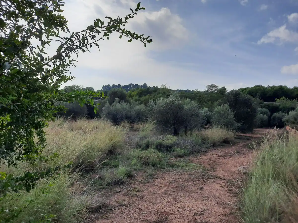 Terreno residencial en venta en Algímia de Alfara, imagen 7