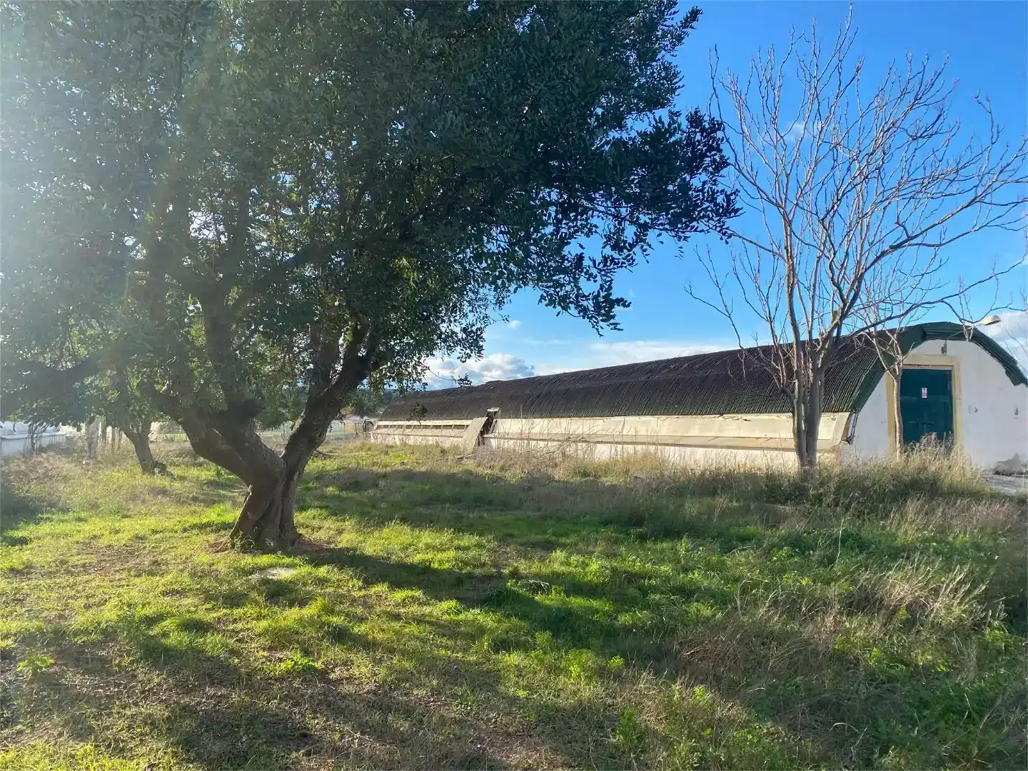 Finca rústica en venta en Llíria