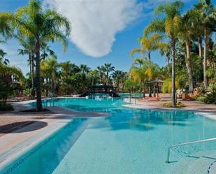 Piscina de Àtic de lloguer en Marbella amb Aire condicionat, Calefacció i Terrassa
