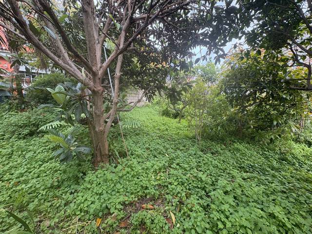 Terreno residencial en Venta en La Perdoma - San Antonio - Benijos