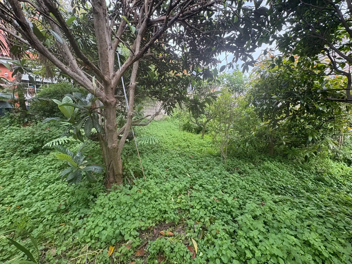 Residential for sale in La Orotava