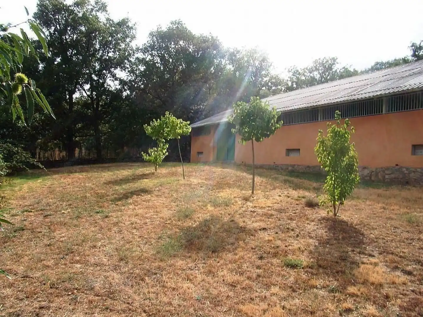 Nave industrial en venta en La Acebeda