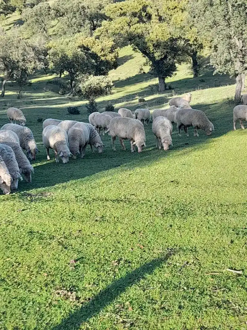 Vista exterior de Terreno en venta en Conquista, Córdoba
