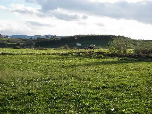 Rural land for sale in Suances, imagen 3