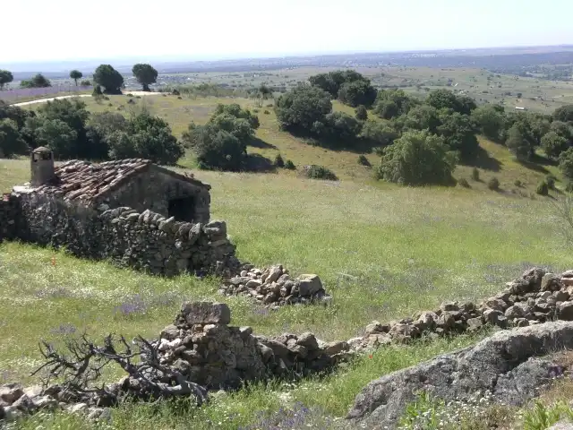 Lands and plots for sale in M-104 FINCA LA ENCINILLA (JUNQUER), imagen 8