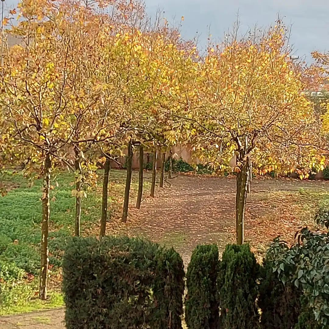 Garden of Houses for sale in Vilanova i la Geltrú