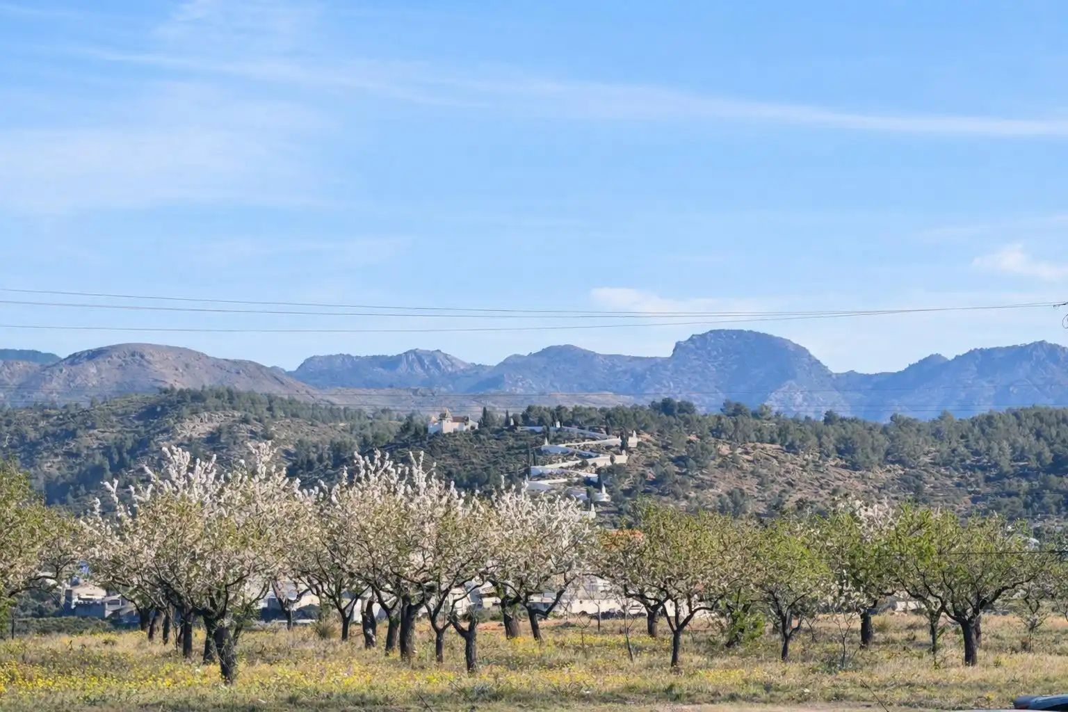 Casa con terrazza in vendita a Sot de Ferrer, imagen 30
