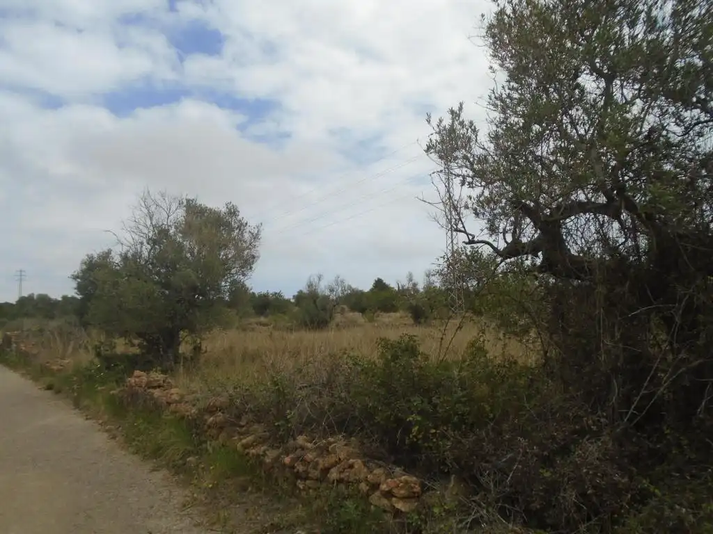 Rustikales Grundstück zum Verkauf in Paraje del Moro, imagen 12