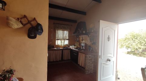 Photo 5 of Country homes for sale in Pelagatos - Pago del Humo, Chiclana de la Frontera
