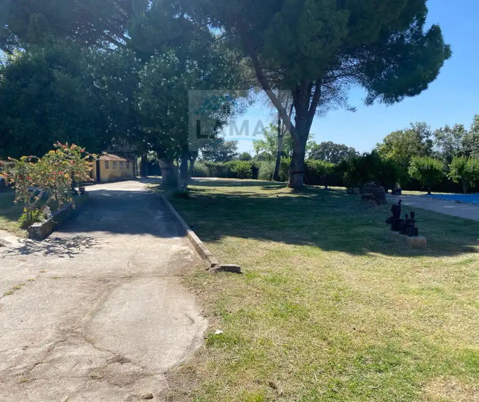 Casa rústica en venda a Diseminado Dehesa los Pinos, imagen 6