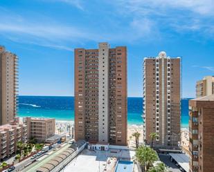 Dormitori de Estudi en venda en Benidorm amb Terrassa i Piscina comunitària