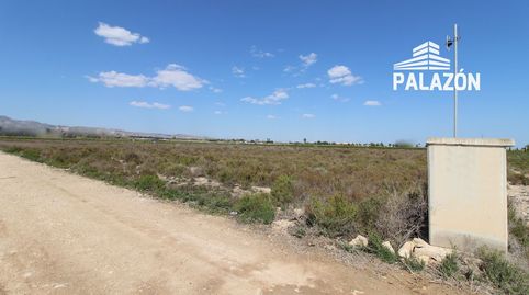 Finca de cultivo en venta en Crevillente Alicante