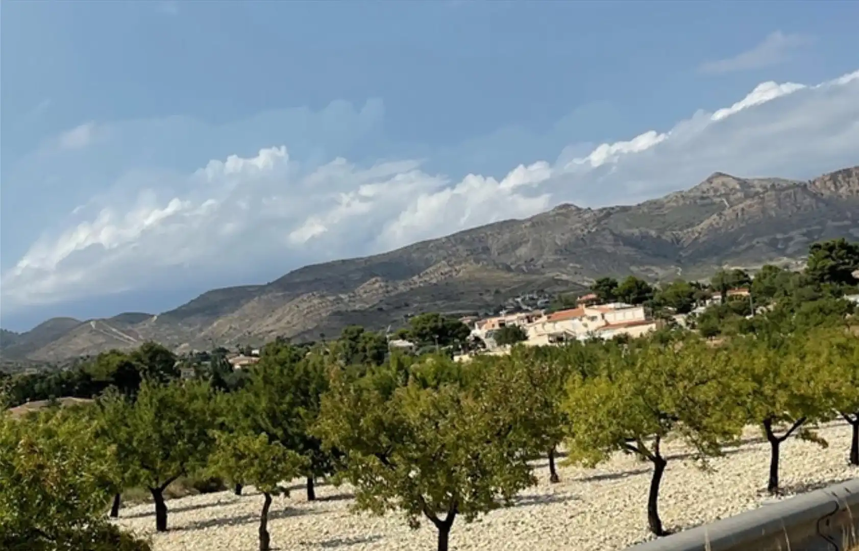 Exterior view of Commercial properties for sale in Alicante / Alacant  with Air Conditioner and Furnished