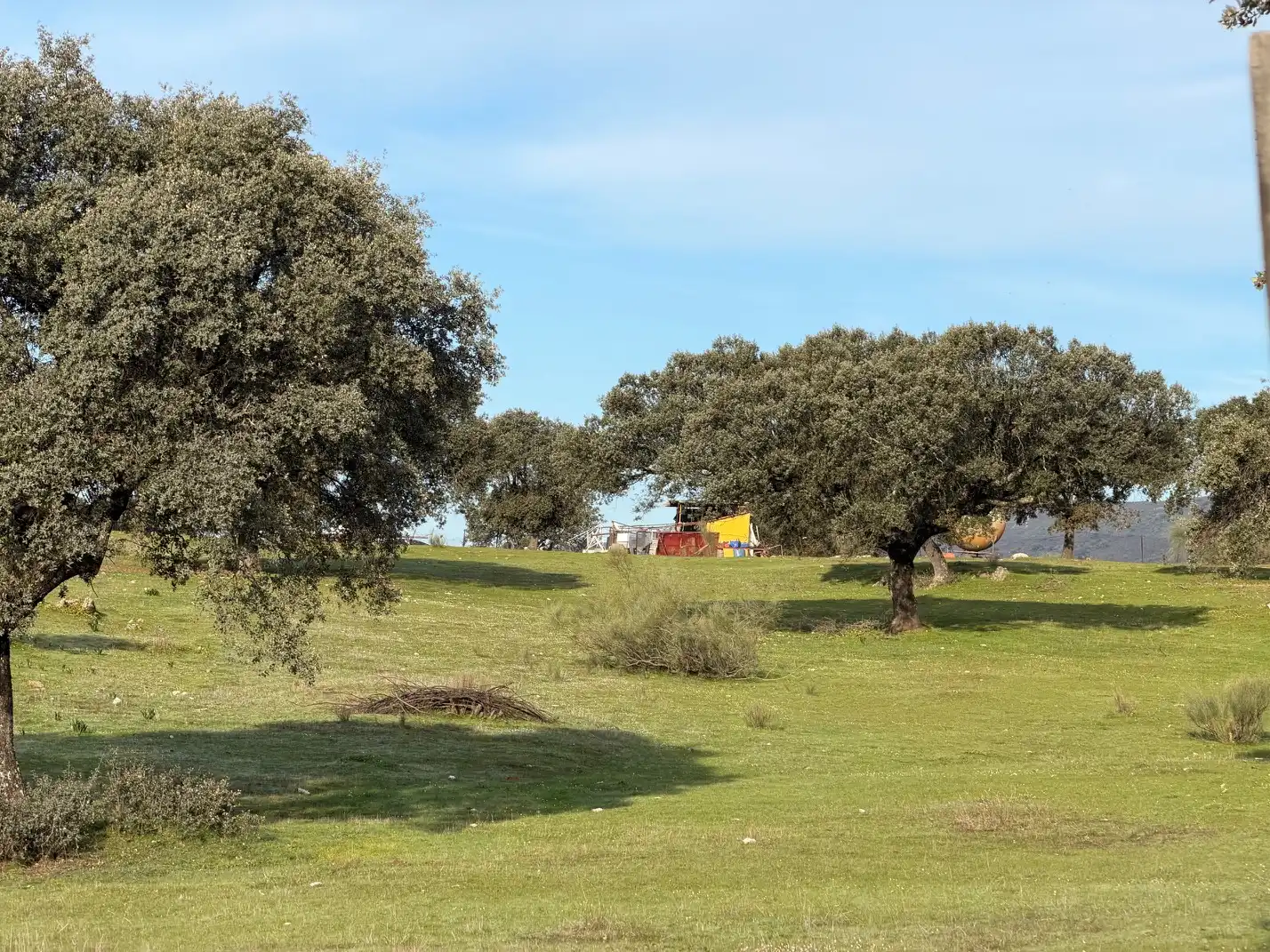 Land for sale in Serradilla