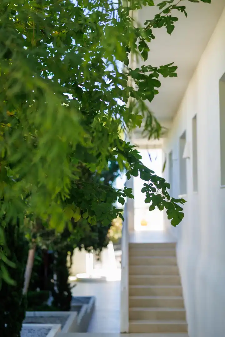 Vista exterior de Casa o chalet en venta en Picassent con Aire acondicionado, Calefacción y Jardín privado