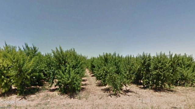 Terreno en Venta en Alfamén