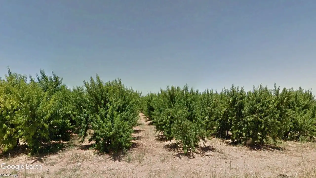 Terreno rustico in vendita a Alfamén