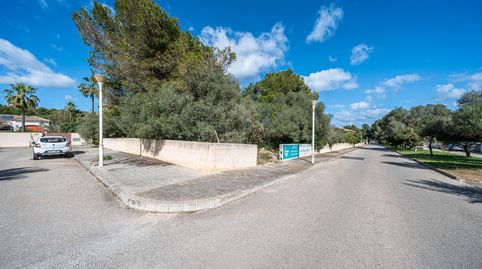 Foto 4 de Terreno en venta en Son Serra de Marina, Santa Margalida