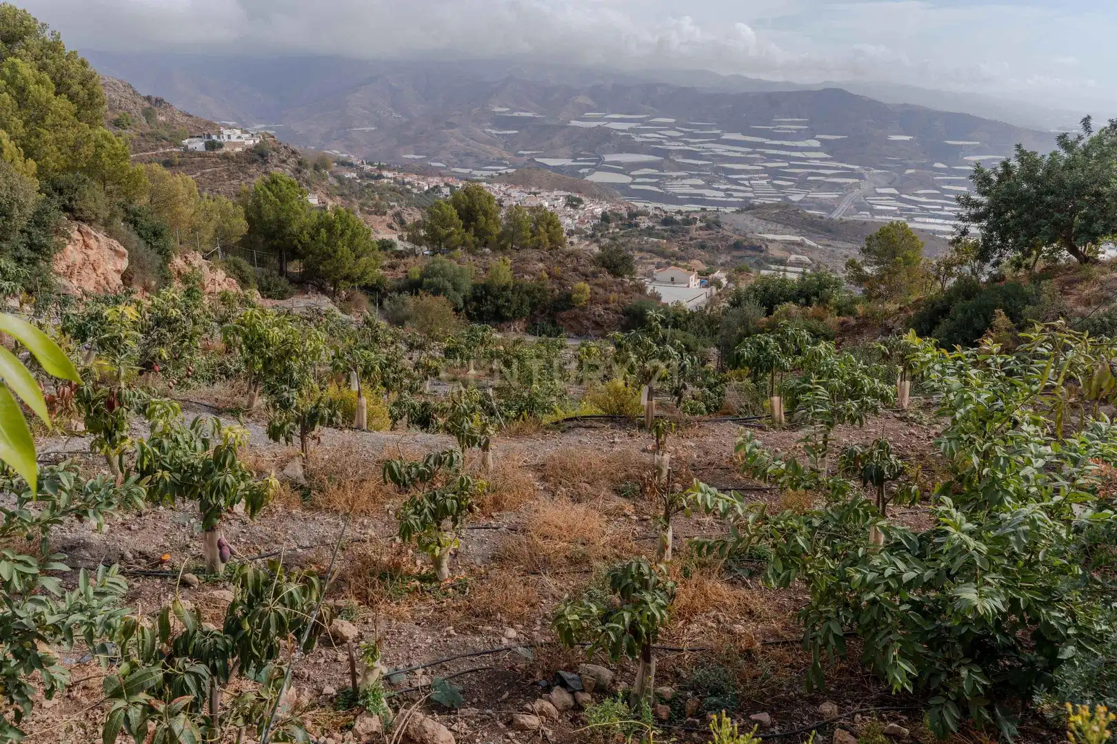 Terreni e lotti in vendita a PHPX+WF Gualchos, Spain, imagen 36