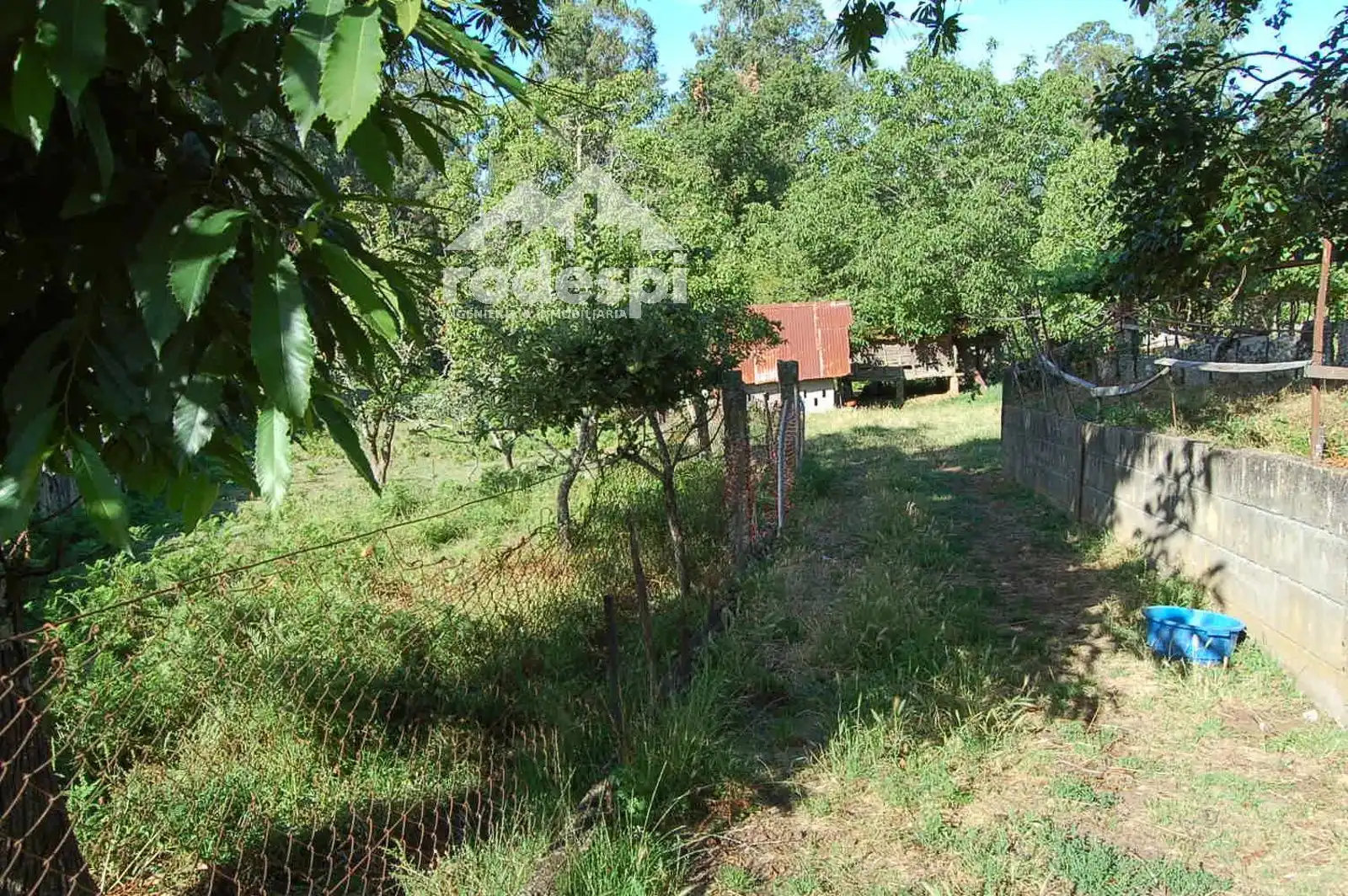 Terreny rústic en venda a Salvaterra de Miño, imagen 4