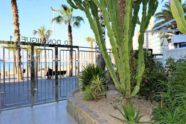 Apartamento en Alquiler en Rincón Alto