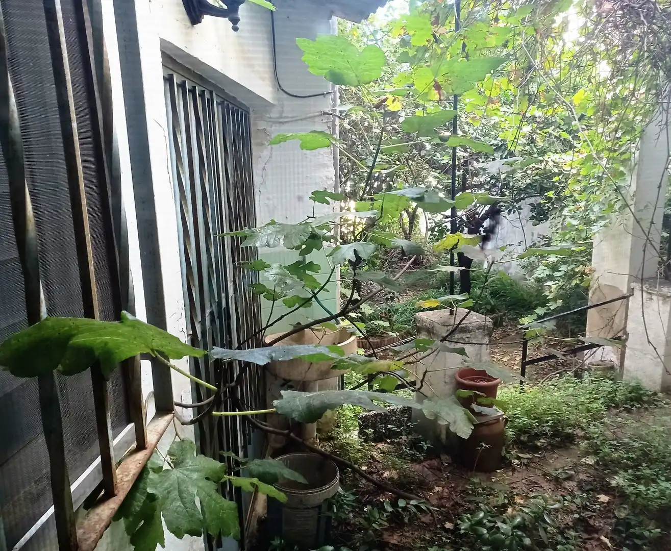 Jardín de Finca rústica en venta en Agullent con Trastero