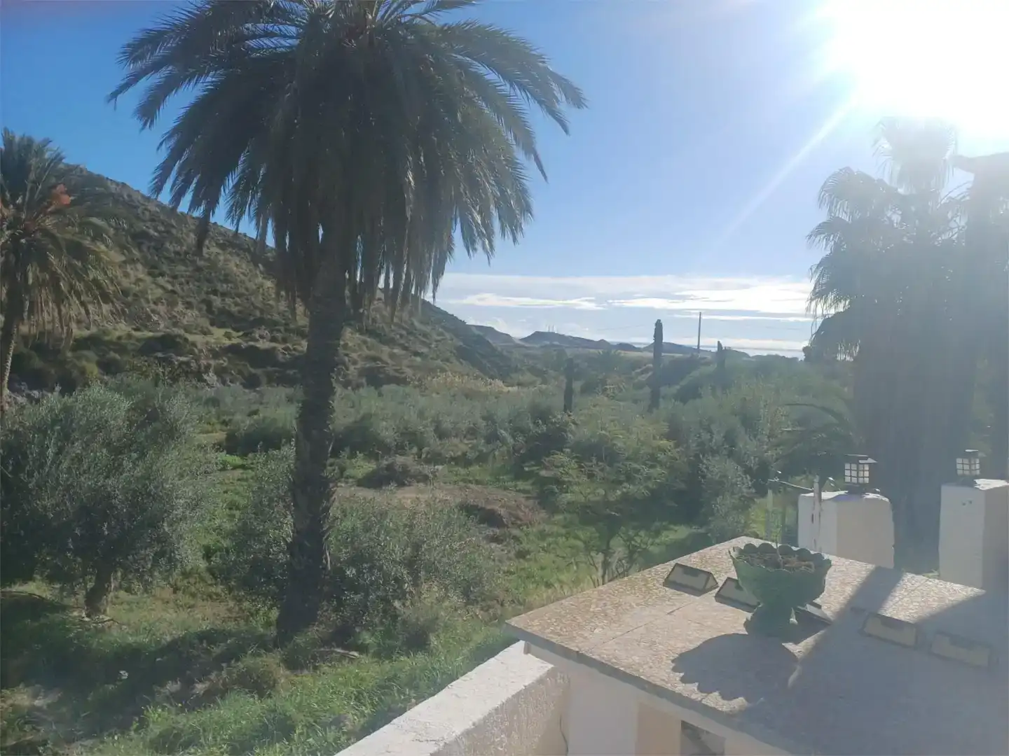 Vista exterior de Finca rústica en venda en Pulpí amb Aire condicionat i Piscina