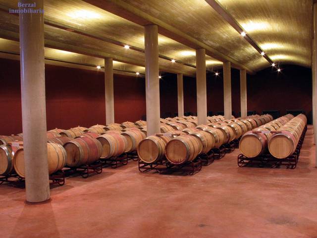 Local comercial en Venta en Calle San Vicente en Baños de Ebro / Mañueta