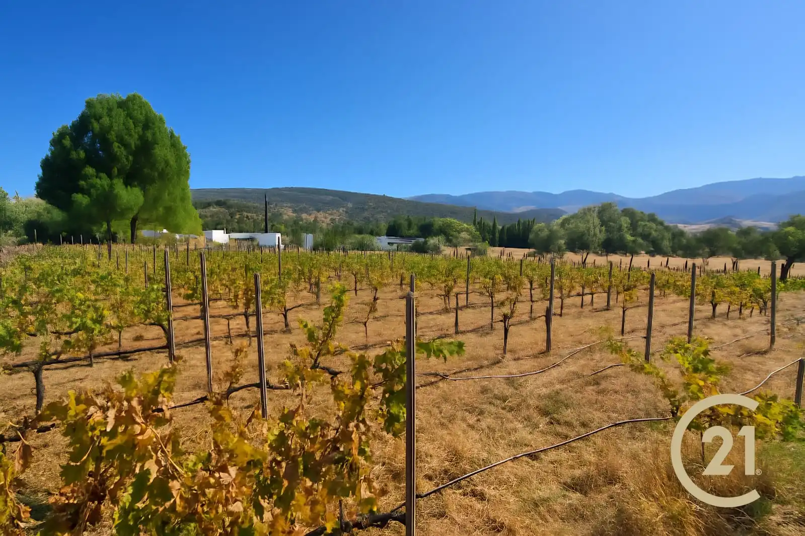 Vista exterior de Casa o chalet en venta en Ronda con Calefacción, Jardín privado y Terraza
