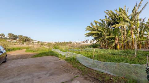 Photo 4 of Residential for sale in N/a, -1, Arucas Casco, Las Palmas